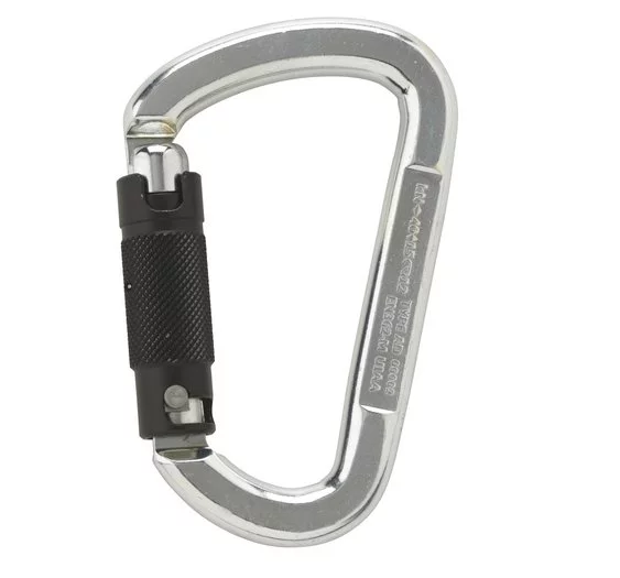 AustriAlpin ASYMM D Karabiner Stahl 40kN